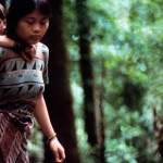 Madre Penan in Sarawak, Malesia - Foto R. Hanbury-Tenison / Survival